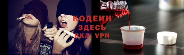 твердый Пересвет