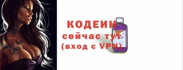 твердый Пересвет