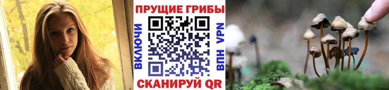 Купить закладки  Еманжелинск  Псилоцибиновые грибы Psilocybe 